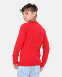 Rudolph Red Kids Christmas Jumpers