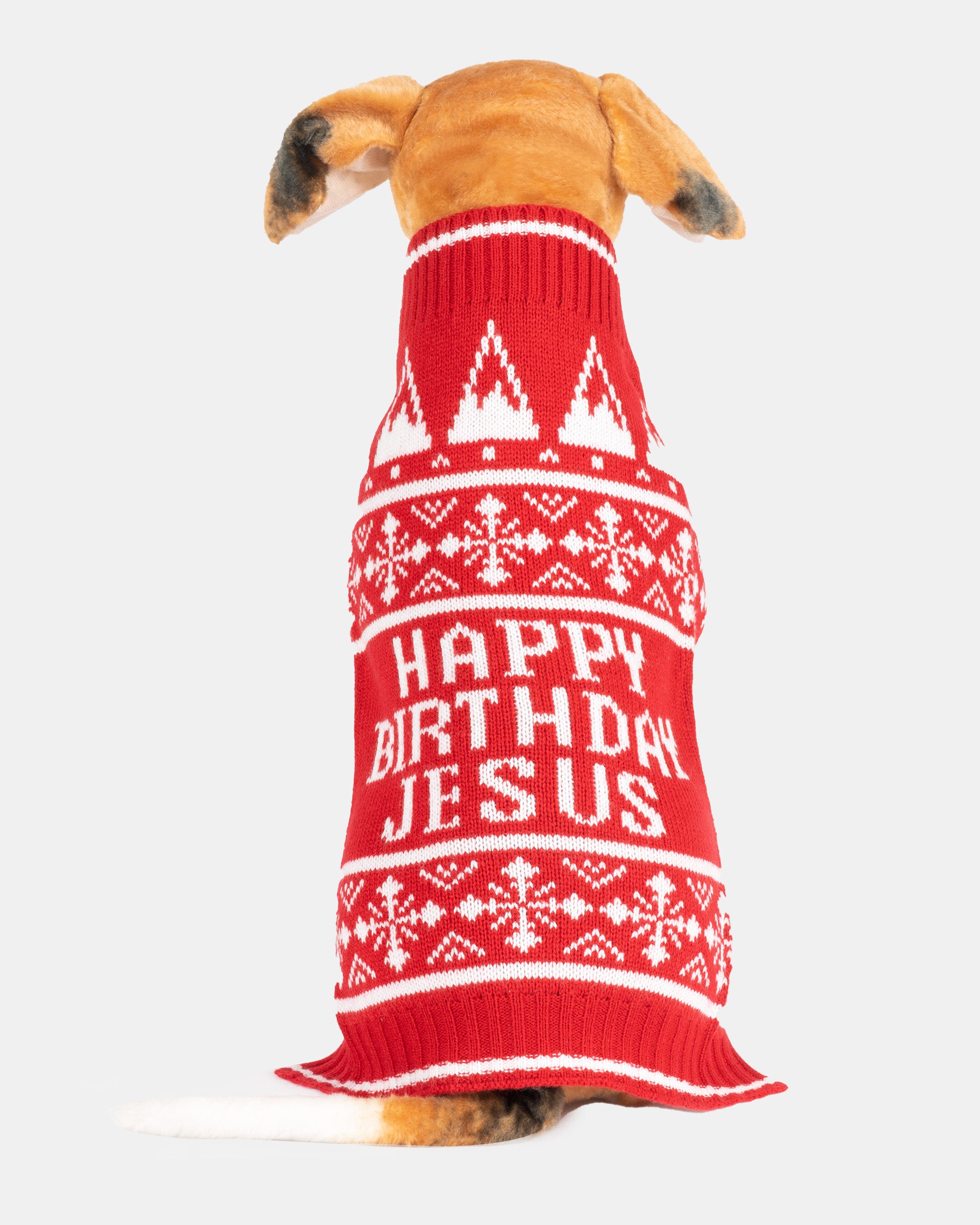 Birthday Jesus Red Dog Christmas Jumper